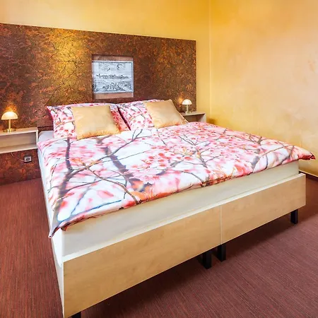 Hotel Conti 3*