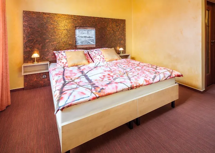 Hotel Conti 3*